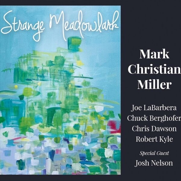 Cover art for Strange Meadowlark